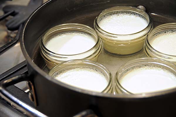 Máy Làm Sữa Chua Nhật Bản 3 Nút Bấm Yogurt Maker Chính Hãng
