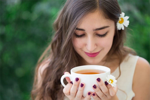 trà hoa cúc vàng có tác dụng gì